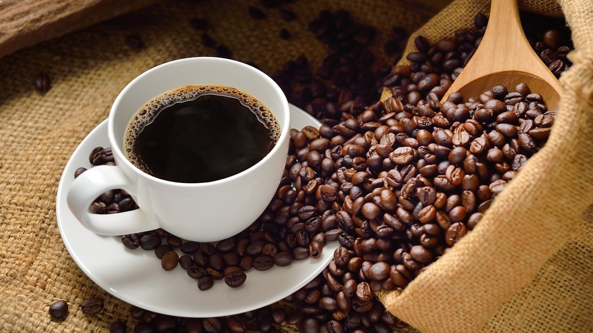 Zoom Debates celebra o Dia Mundial do Café com conversa sobre história, inovação e sensorialidade da bebida