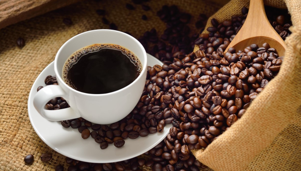 Zoom Debates celebra o Dia Mundial do Café com conversa sobre história, inovação e sensorialidade da bebida