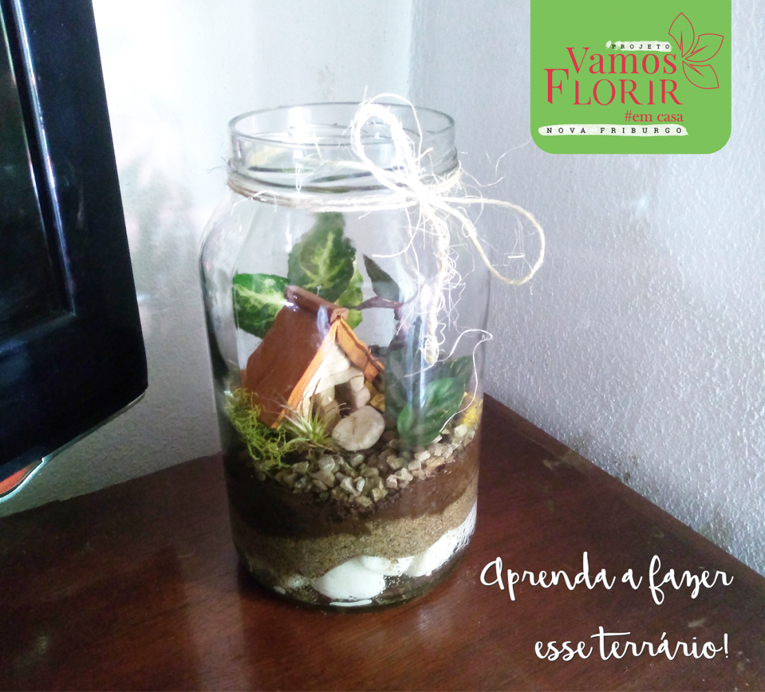 Aprenda a fazer um terrário!