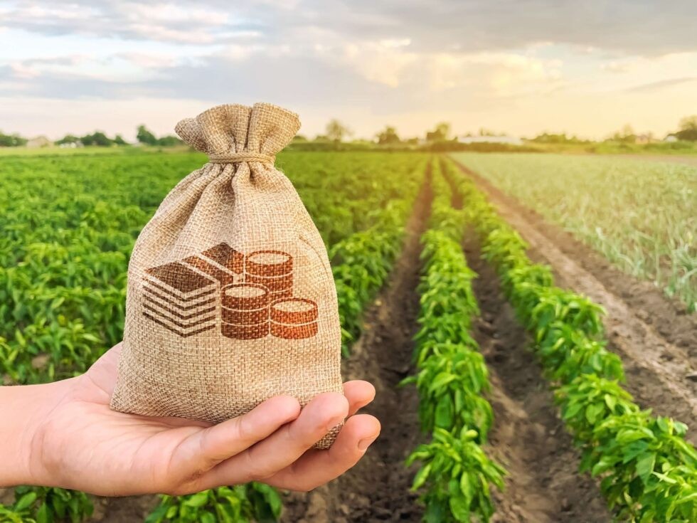 Conselho de Agronegócio da Firjan apresenta diagnóstico do mercado Agro Fluminense