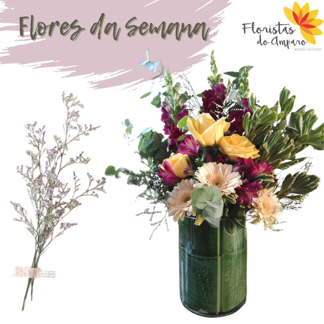 Flor da Semana - Estatice 