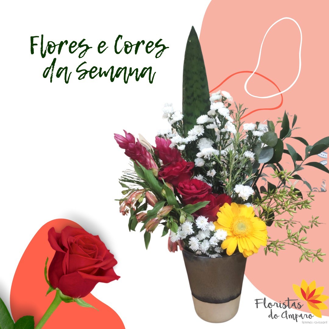 Flores da semana trazem a Rosa como destaque!
