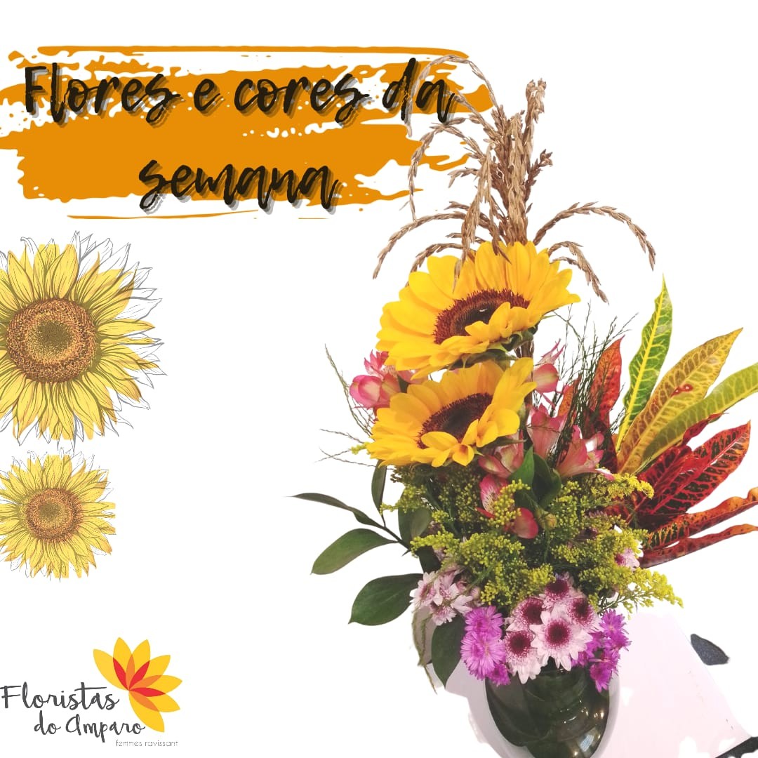 Girassol é a flor protagonista desta semana!