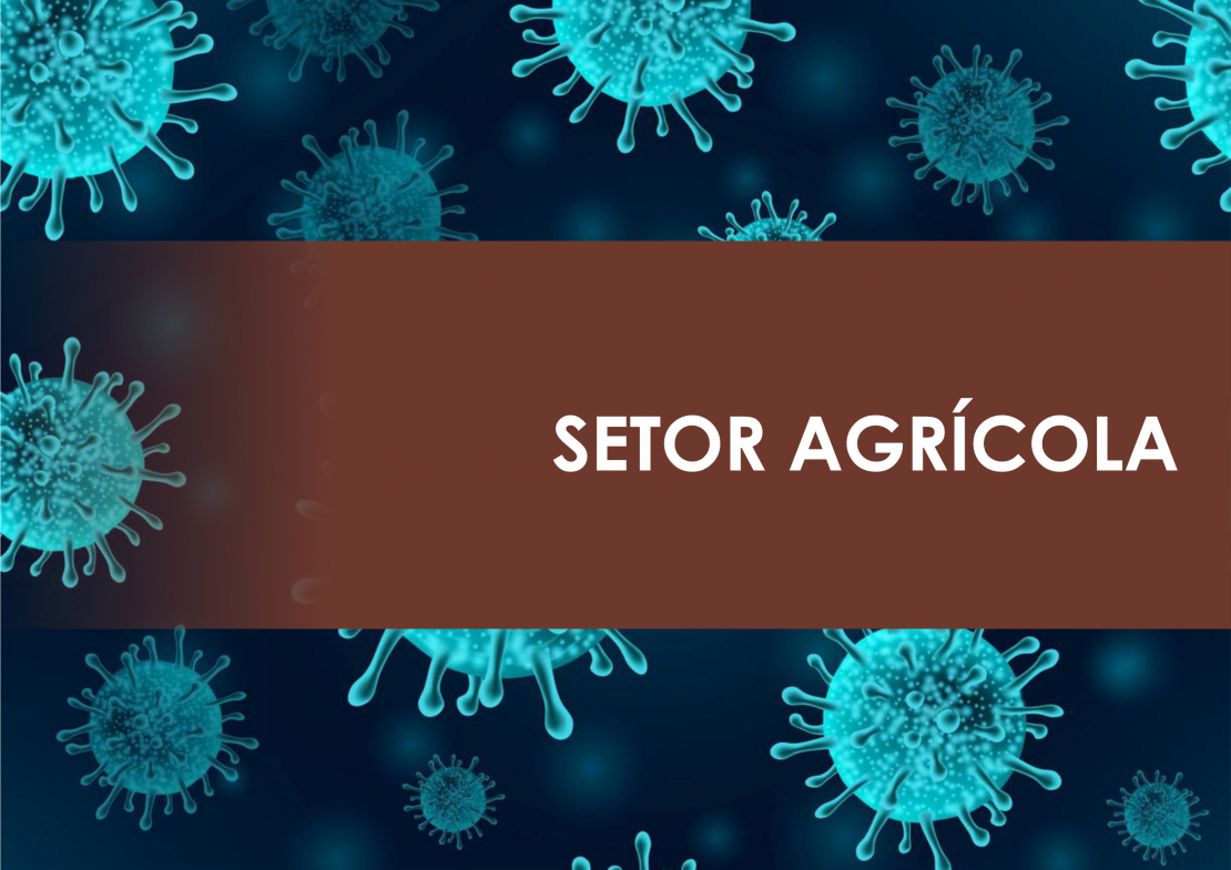 Secretaria de Agricultura faz parceria com supermercados para compra direta de produtores