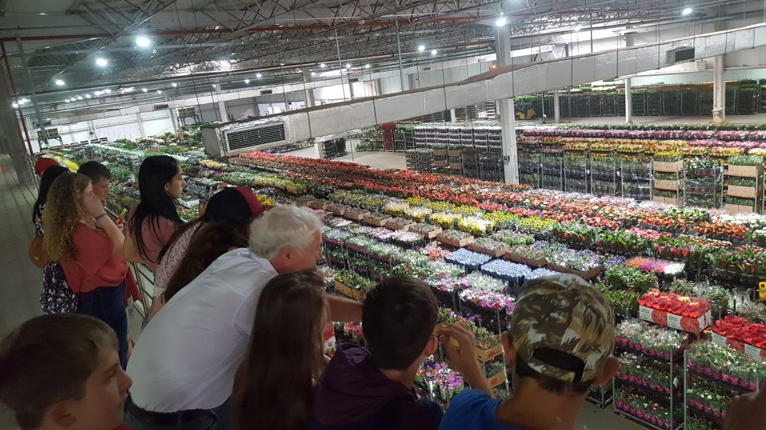 Sustentabilidade e Educação são os pilares do Projeto Vamos Florir