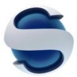 GRUPO SINGULAR SEGURANÇA E SERVIÇOS ESPECIALIZADOS