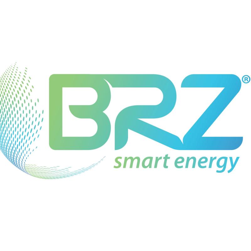 BRZ ENERGIA PARTICIPAÇÕES S.A